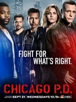 Постер Полиция Чикаго 4 сезон
